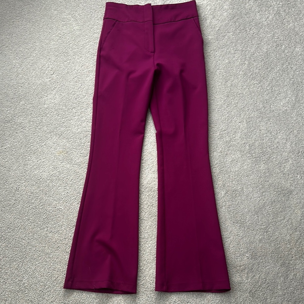 Purple Flare Pants with Wide Waistband